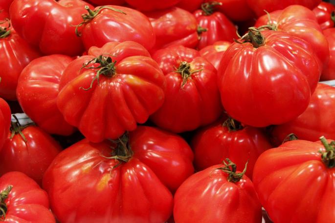 Tomatoes for sale at the market