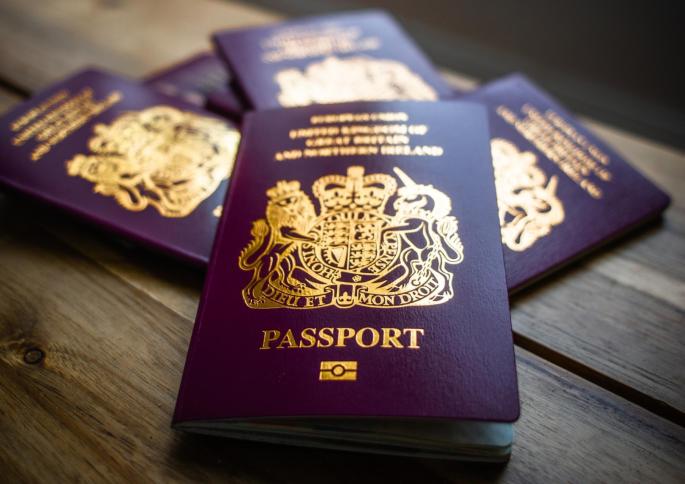 Set to launch in October 2025, the system aims to enhance border security, replace traditional passport stamps, and speed up tra