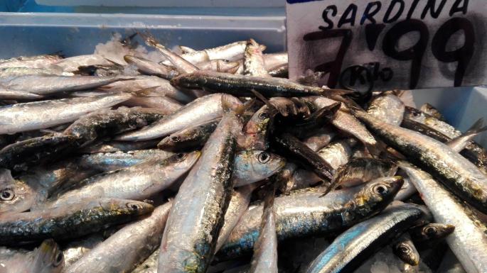 Majorcan fish