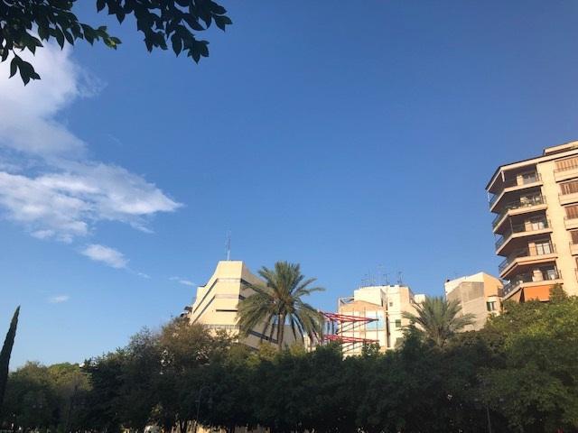 Sunny skies this morning