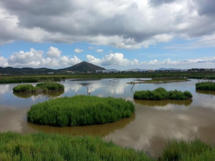S'Albufera in Alcudia