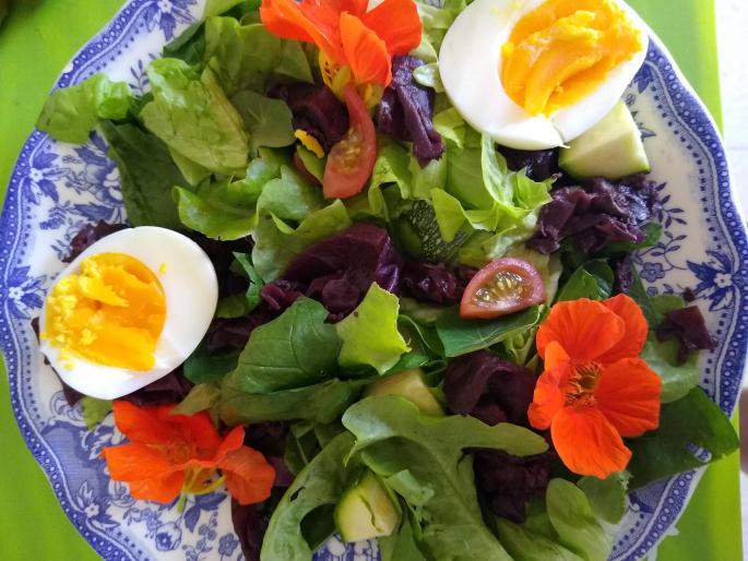 (All from the garden and hens) lunch.