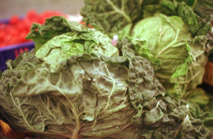 Cabbage