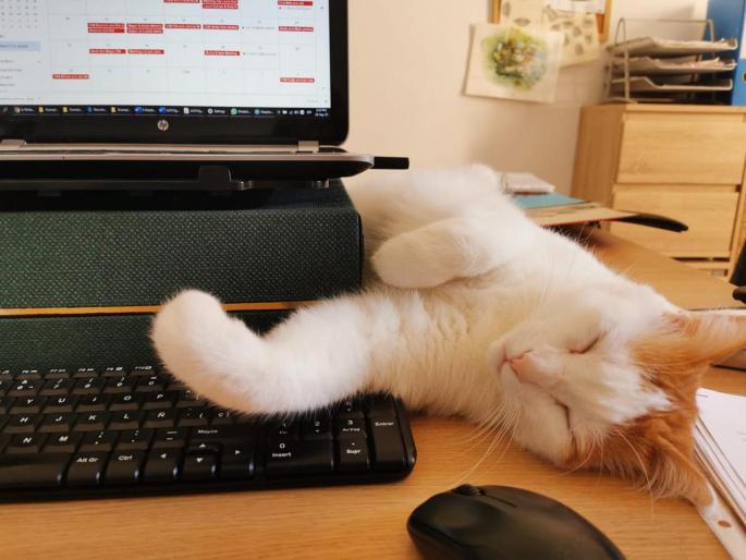 Brian snoozing