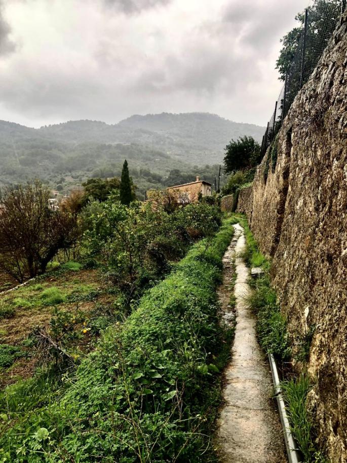 Damp December
