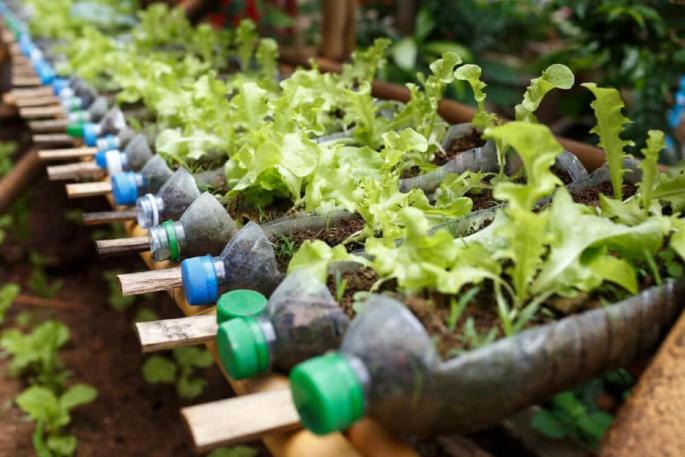 recycling bottles