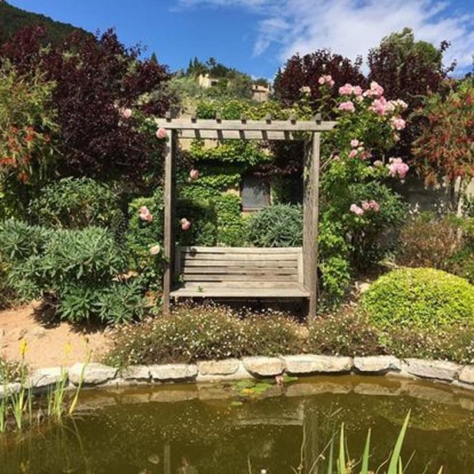 Part of the beautiful garden thriving