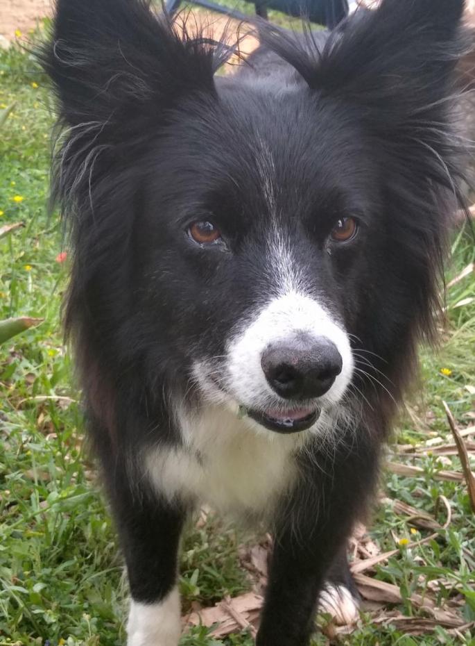 Brady a few months after treatment