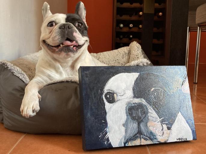 A Pet Photography Competition