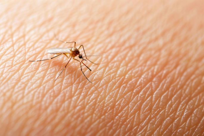 Leishmaniasis is an infection caused by a tiny parasite called Leishmania