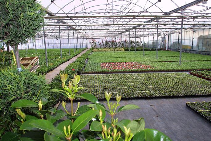 A garden centre