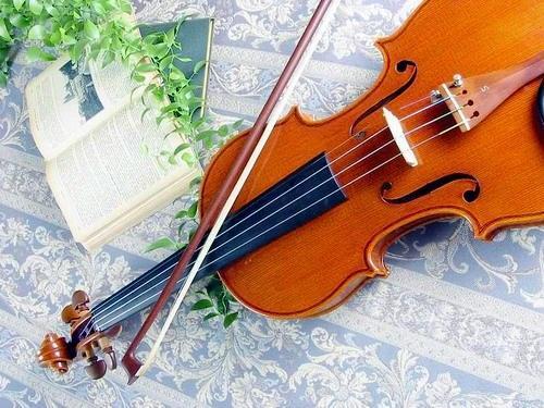 Violin