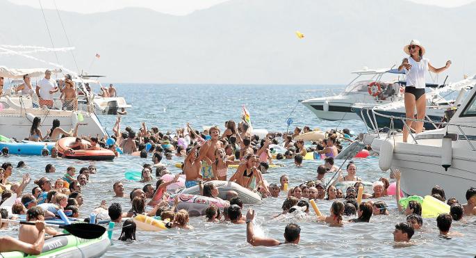 The duck swim in Can Picafort, Mallorca