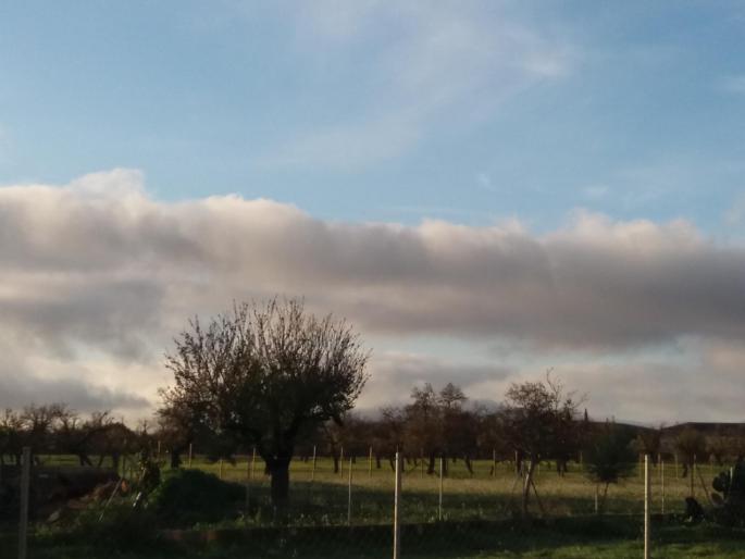 Mainly sunny today