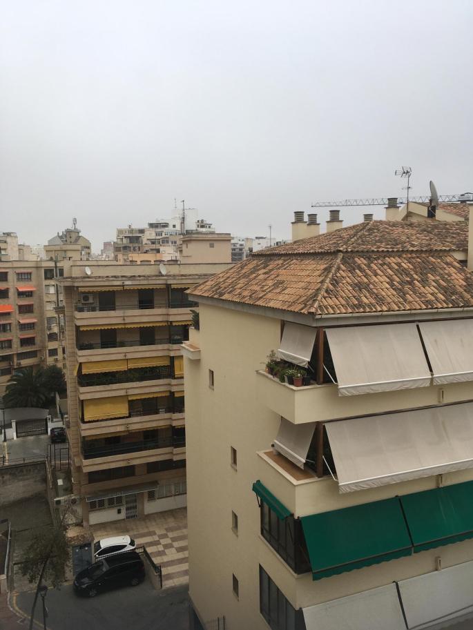 Palma Fog