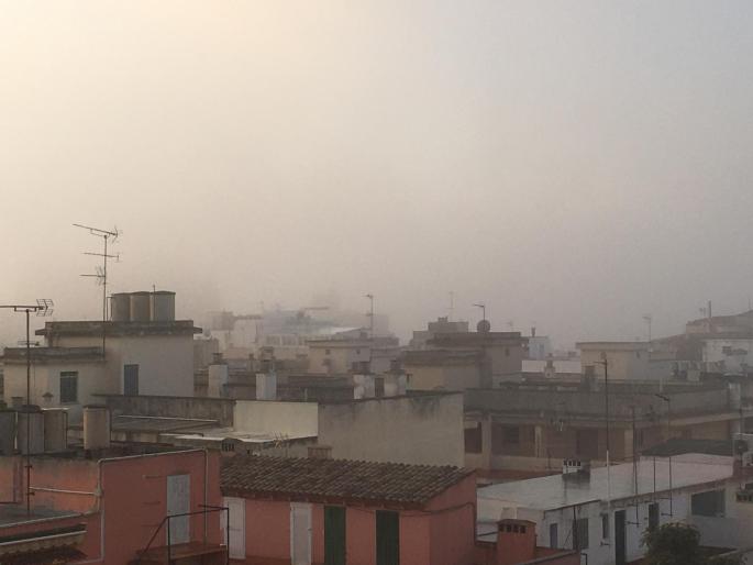 Palma Cathedral disappears in the fog.