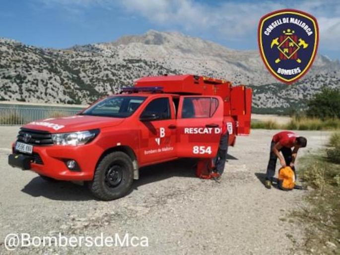 Firefighters in Puig de sa Rateta, Fornalutx.