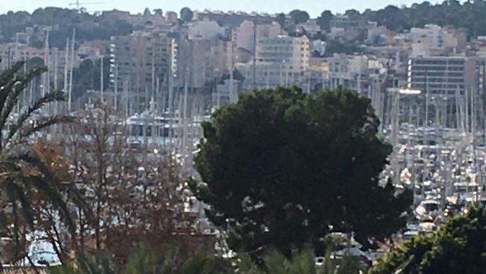 Palma, Mallorca.