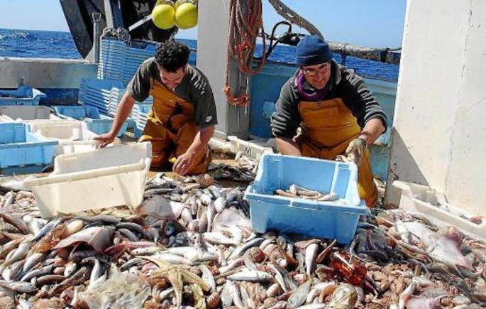 Fishermen with their catch in Mallorca.