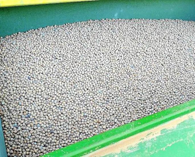 Mallorcan chickpeas.