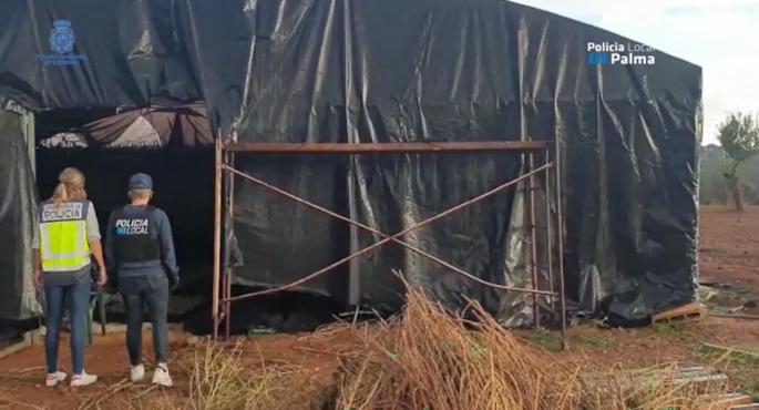 Local & National Police at the farm that was raided.