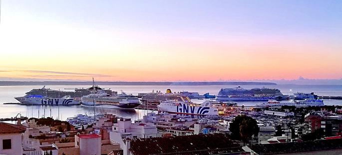 Palma port