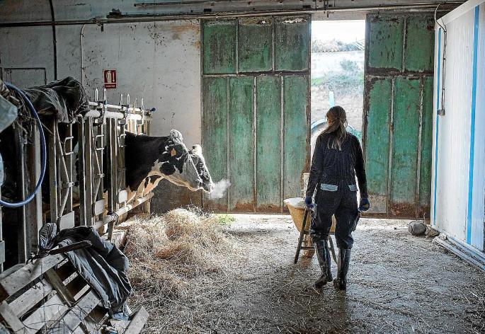 Farmworker in Menorca