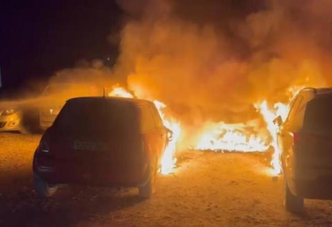 Cars were torched in the early hours of this morning.