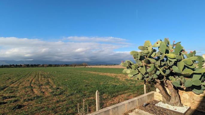 Temporary halt to new renewable energy projects on Mallorca rural land