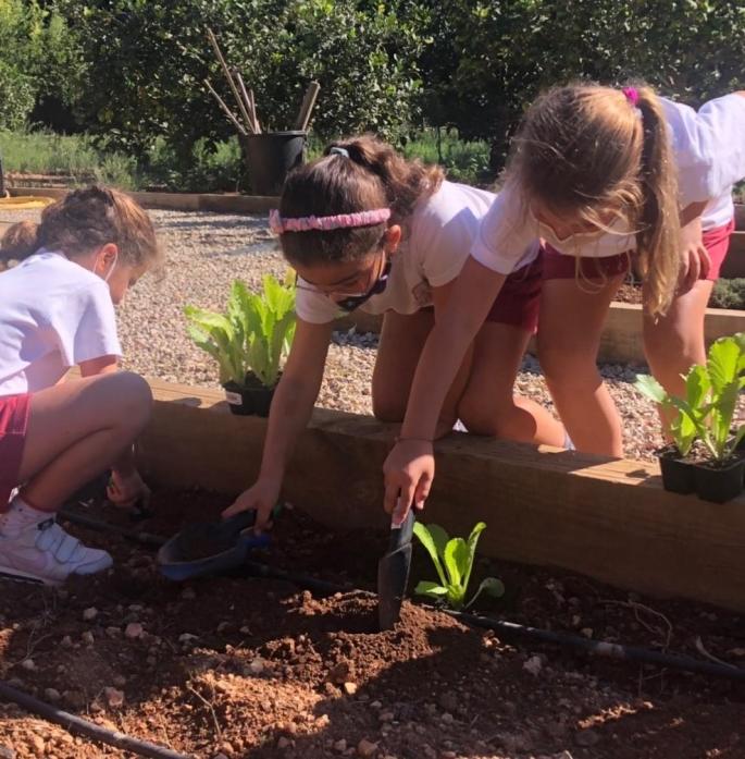 Green Fingers