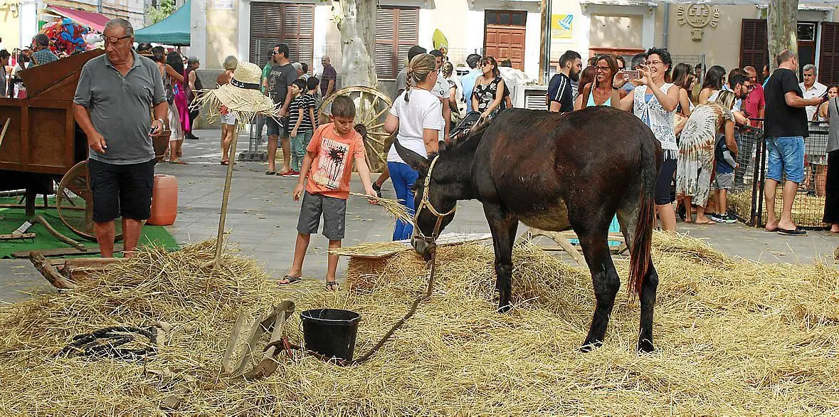 Feria de Arta, Mallorca