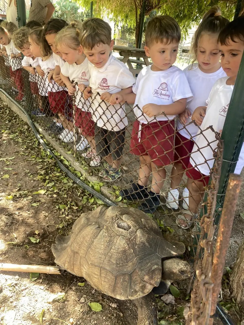 The Academy International School Mallorca