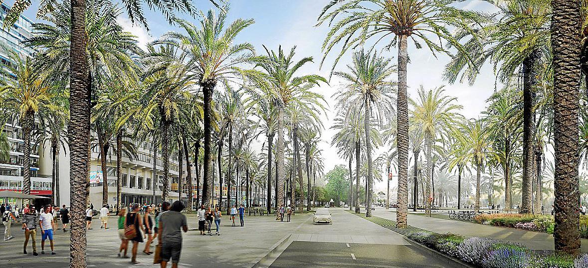 Property Paseo Maritimo in Palma