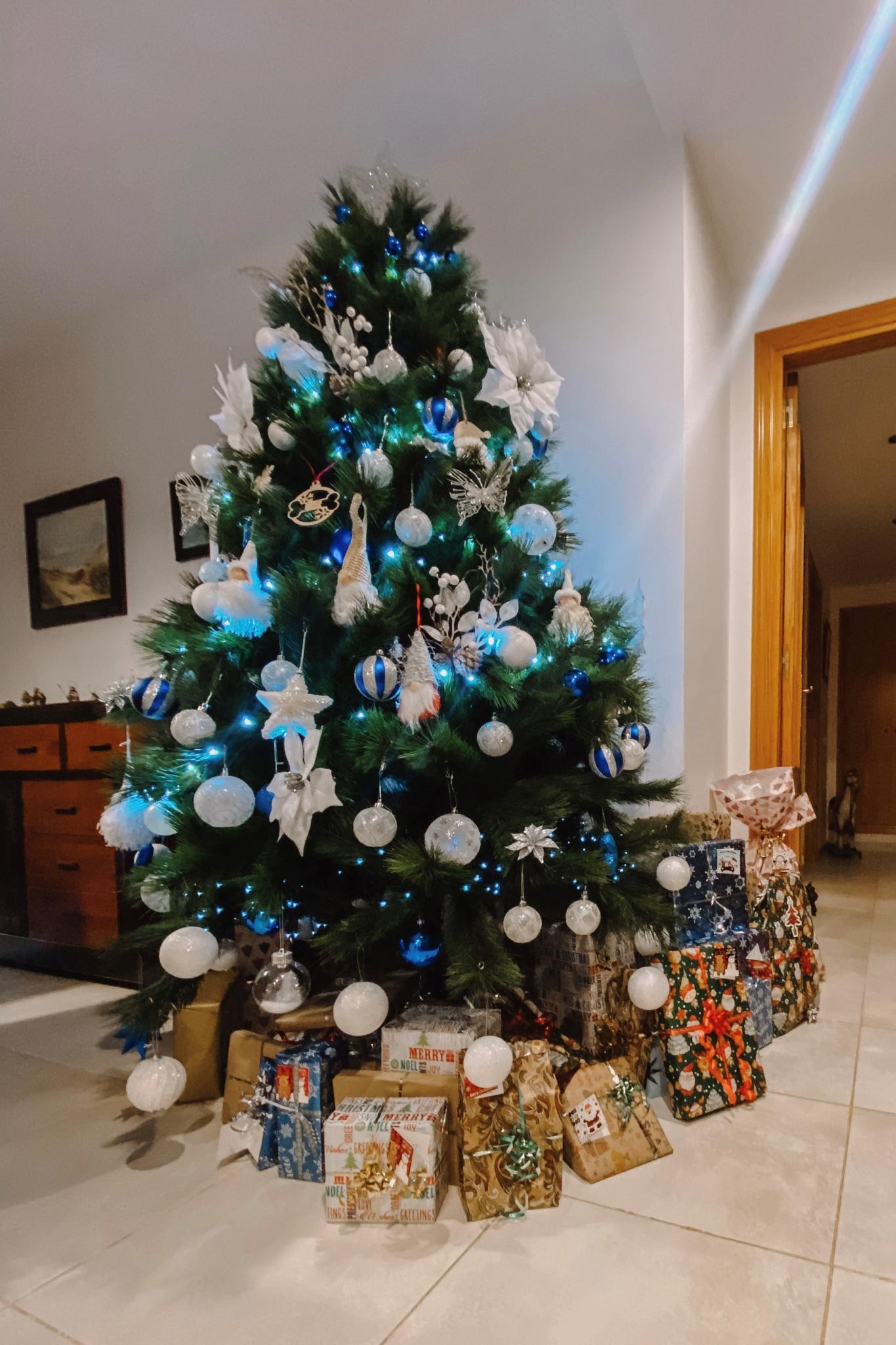 Photo gallery: Christmas Tree Competition