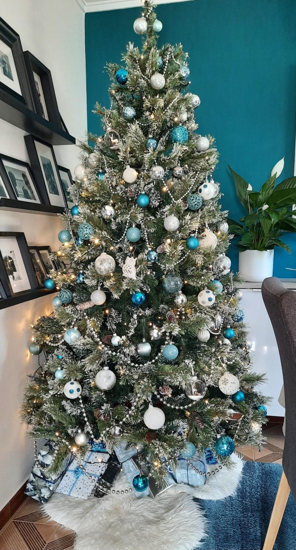 Photo gallery: Christmas Tree Competition