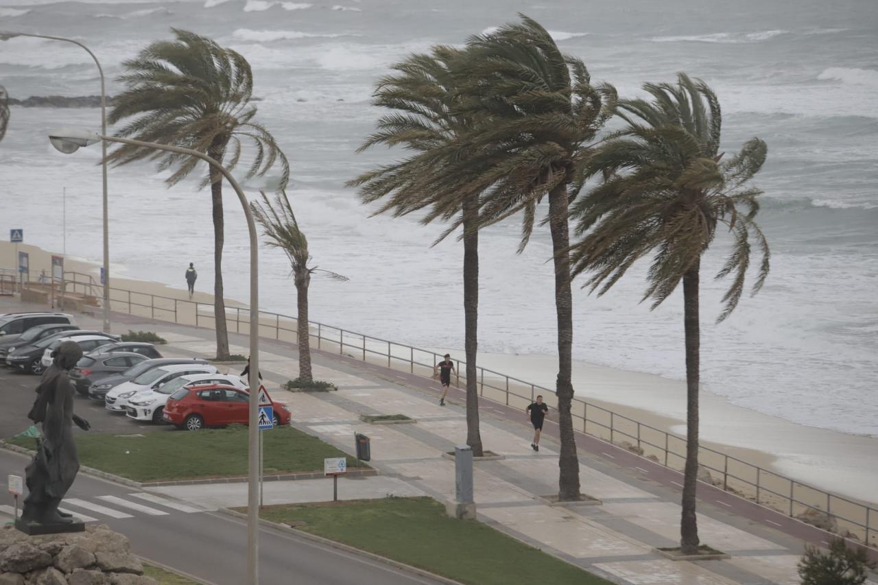Mallorca weather for Saturday, 9 March, 2024