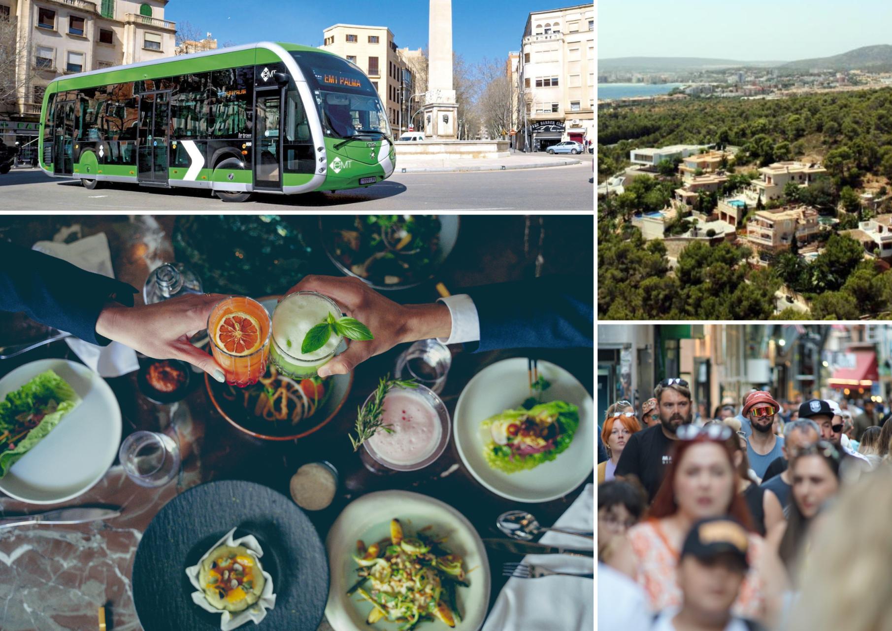 Mallorca news from October 18 to October 24 Mallorca news from October 18 to October 24
