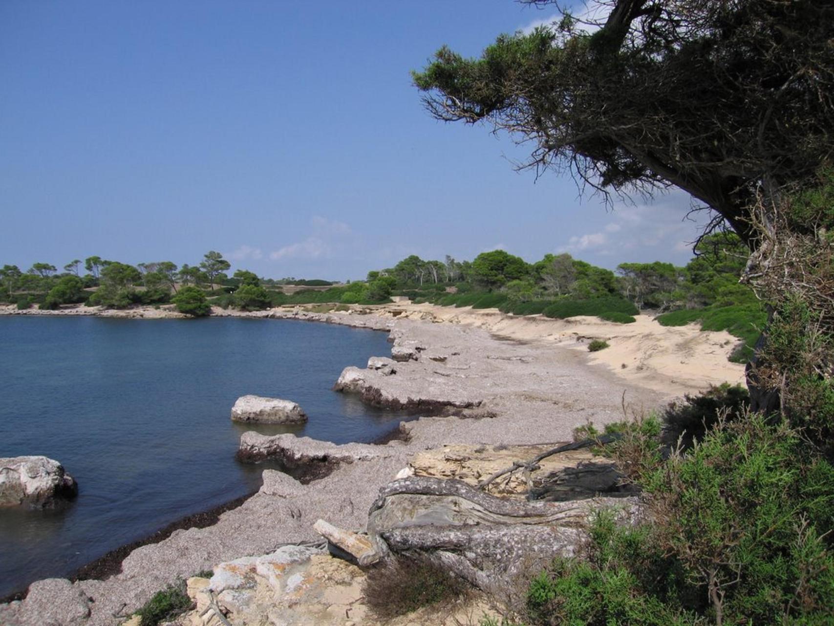 MALLORCA. PLAYAS. CALA EN TUGORES.