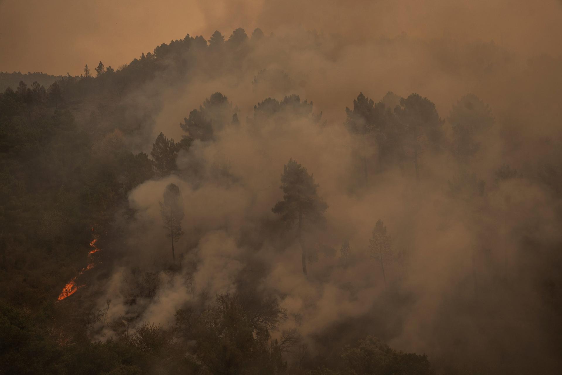 Spain forest fires have claimed the area the size of Mallorca