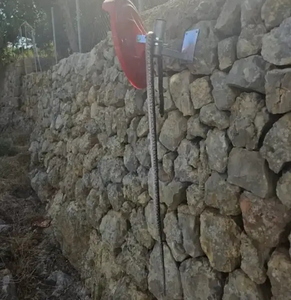 Mallorca shock: snake found hanging from a traffic sign