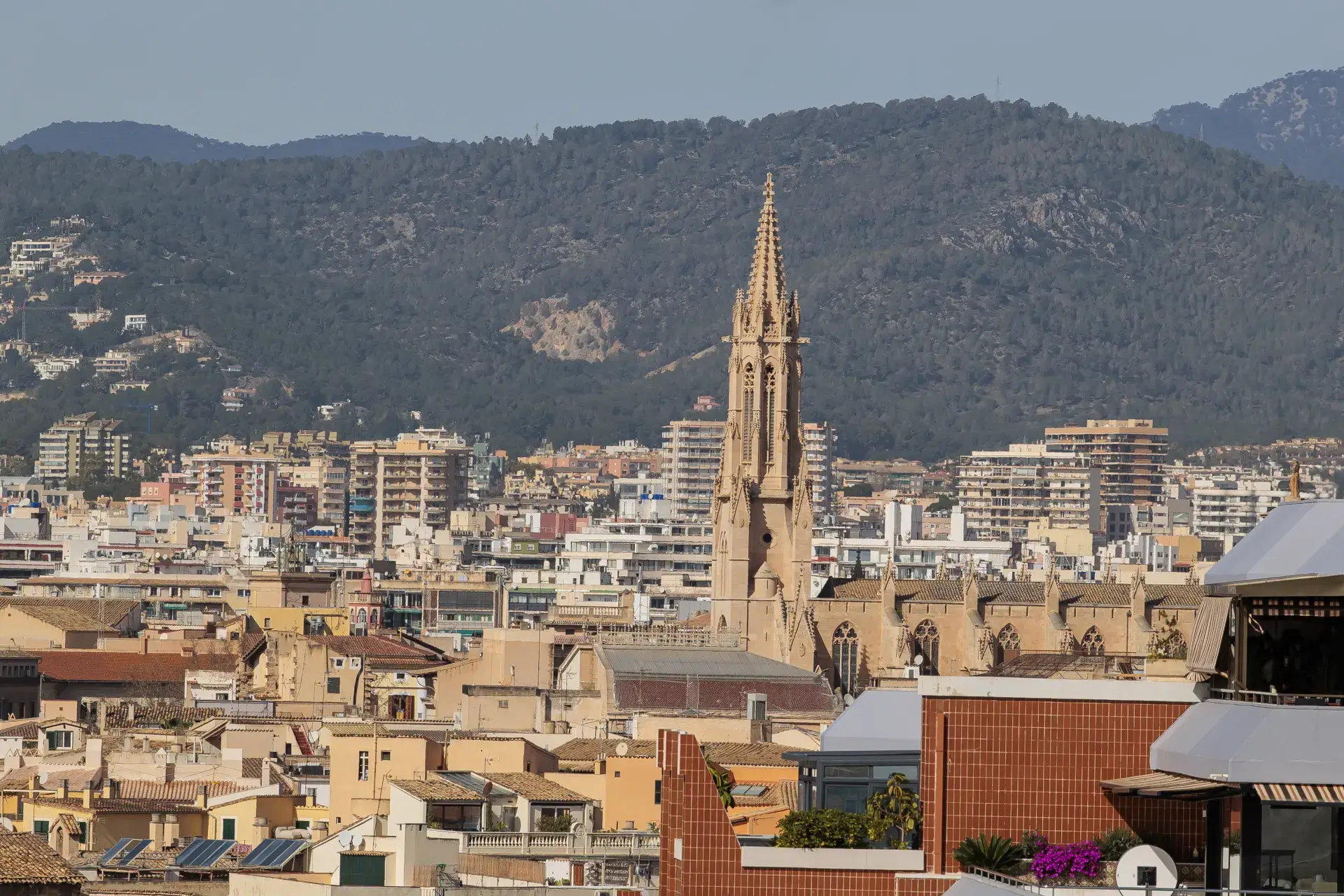 Palma among Spain's few major cities with growing rental supply