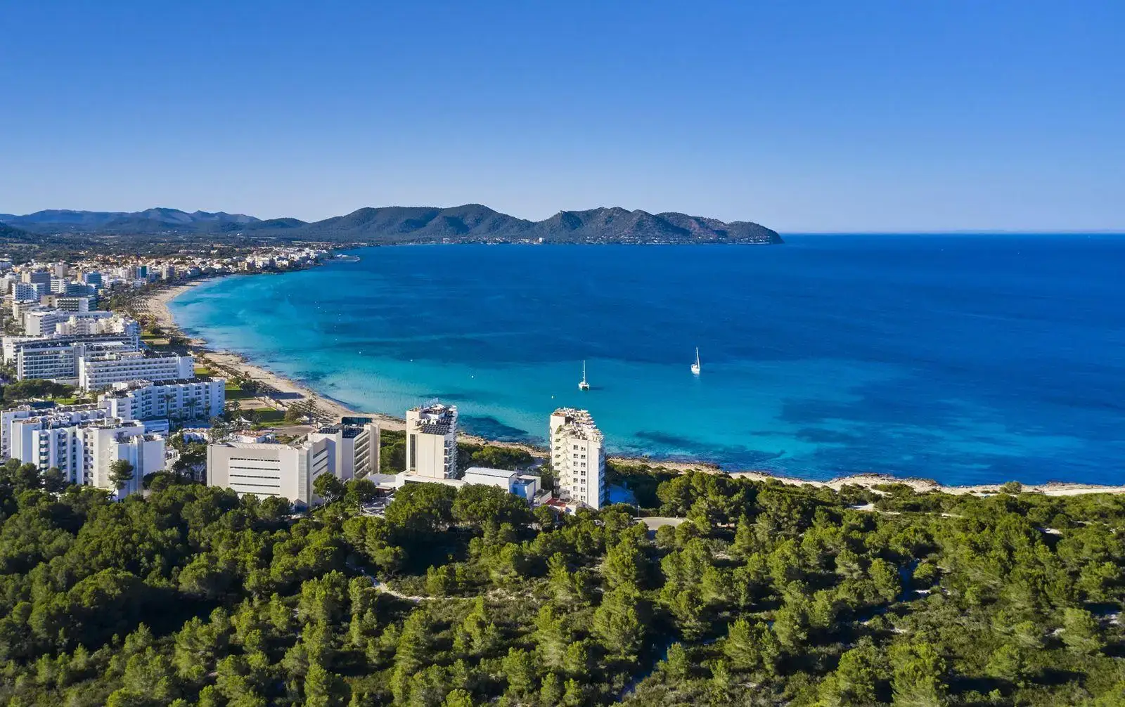 Manager of the Cala Millor restaurant closed by police and inspectors insists that accusations are untrue