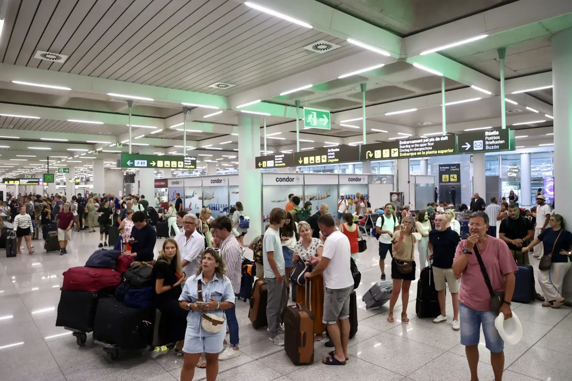 "A shift towards a more stable market": Mallorca's summer tourism no longer focused on growth