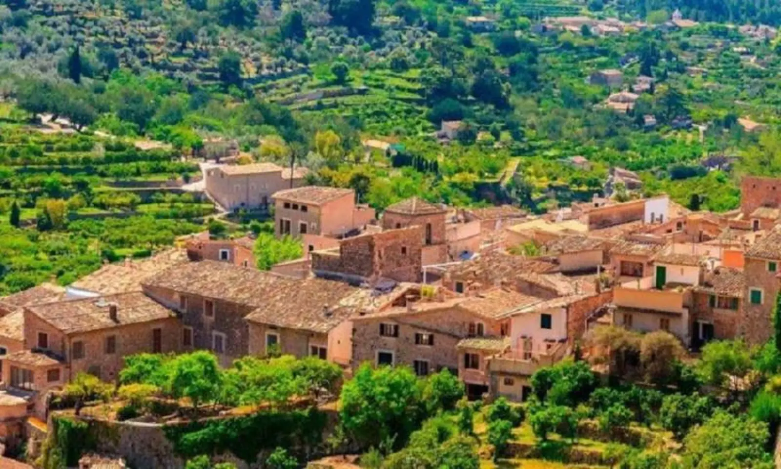 Eight municipalities in the Balearics had average net household incomes of over 55,000 euros in 2024, with Fornalutx recording t
