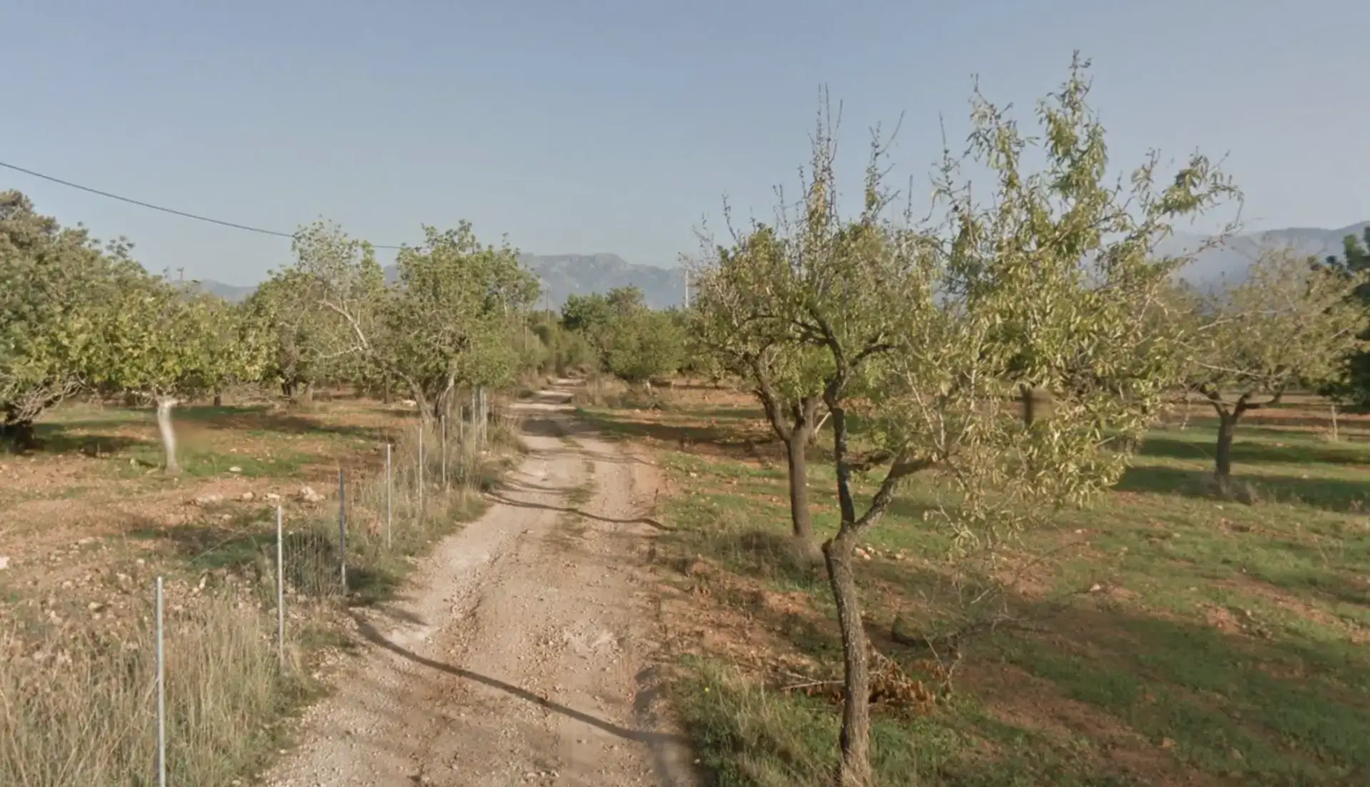 Land earmarked for a battery storage plant in Bunyola, Mallorca