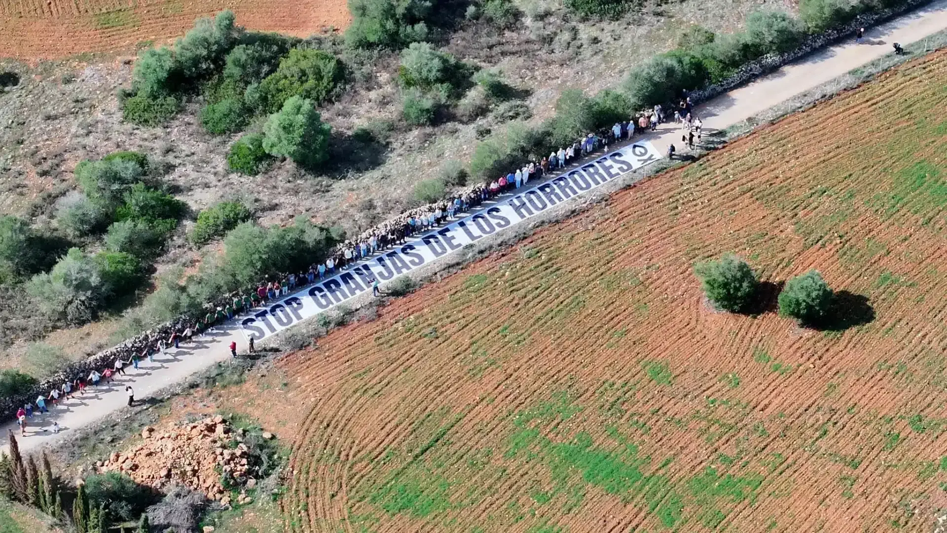 Protest against a poultry farm in Mallorca