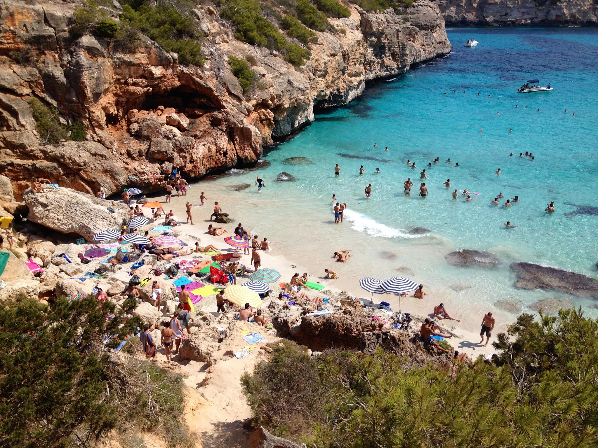cal des moro become no smoking no alcohol cal des moro become no smoking no alcohol