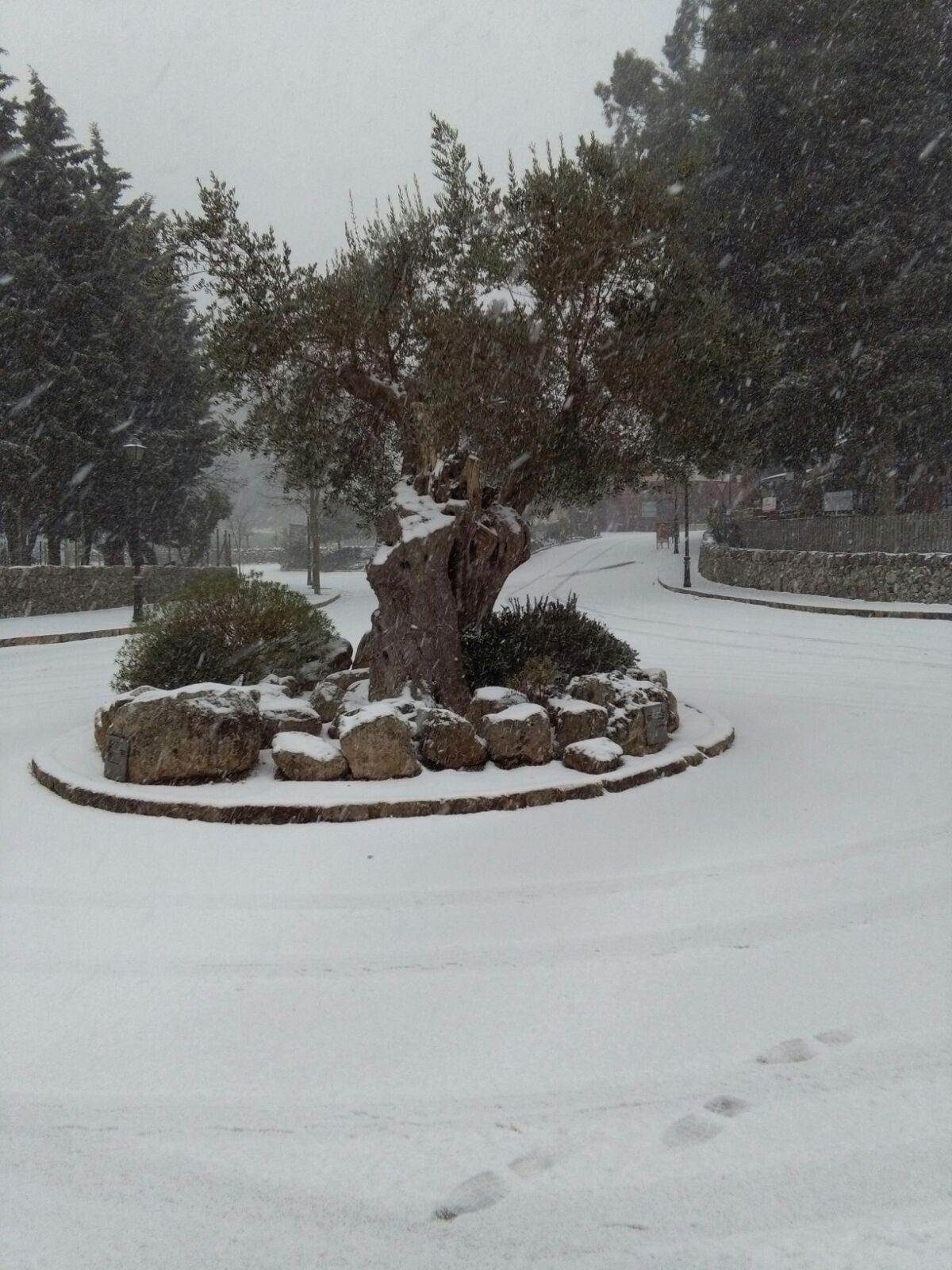 Nieve Lluc1.jpg