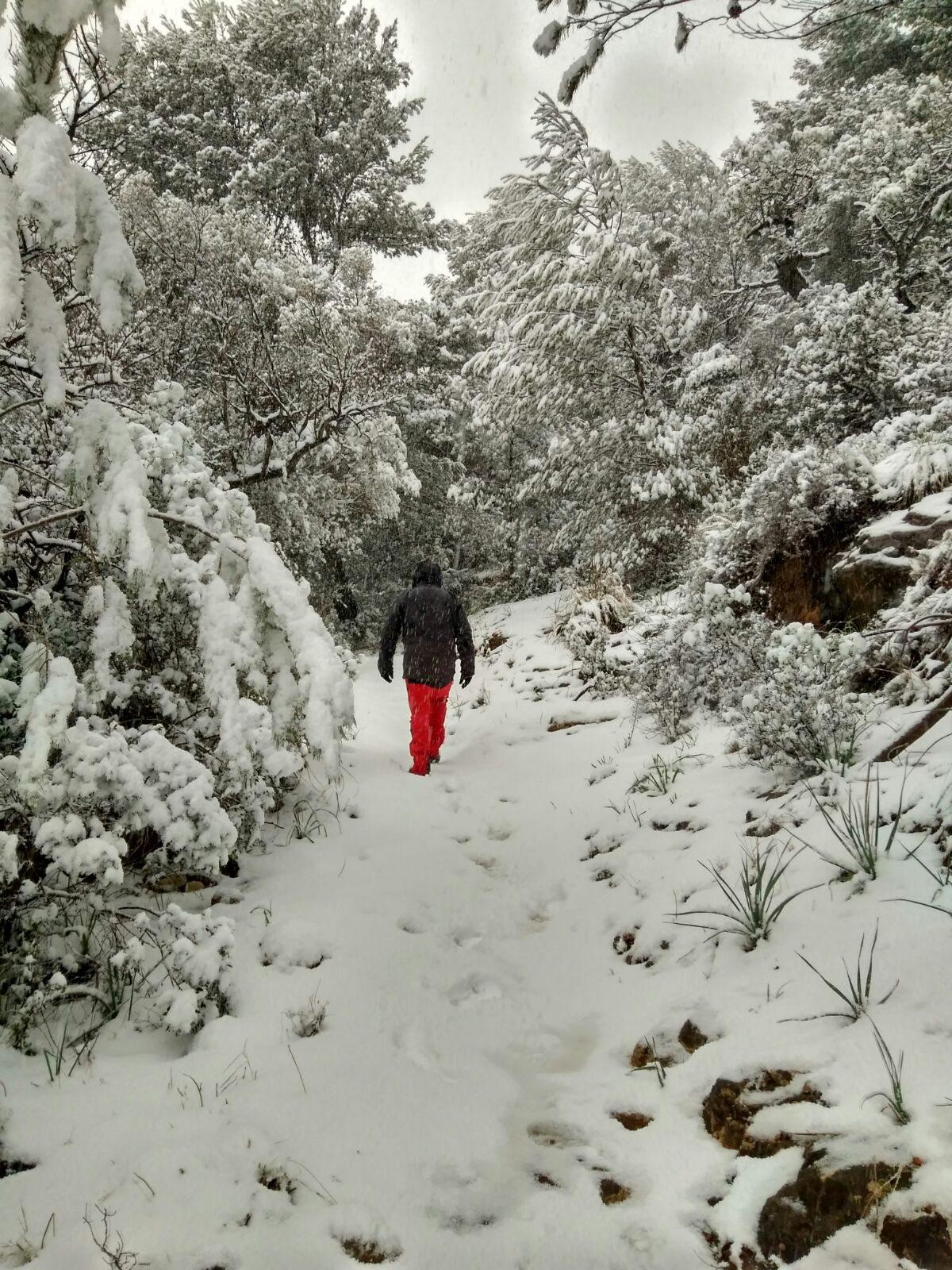 Nieve Mancor.jpg
