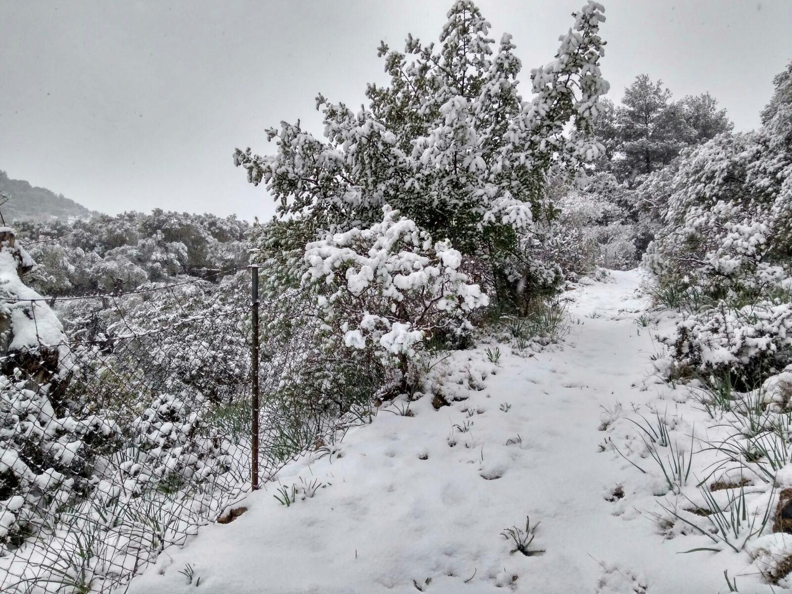 Nieve Neu1.jpg